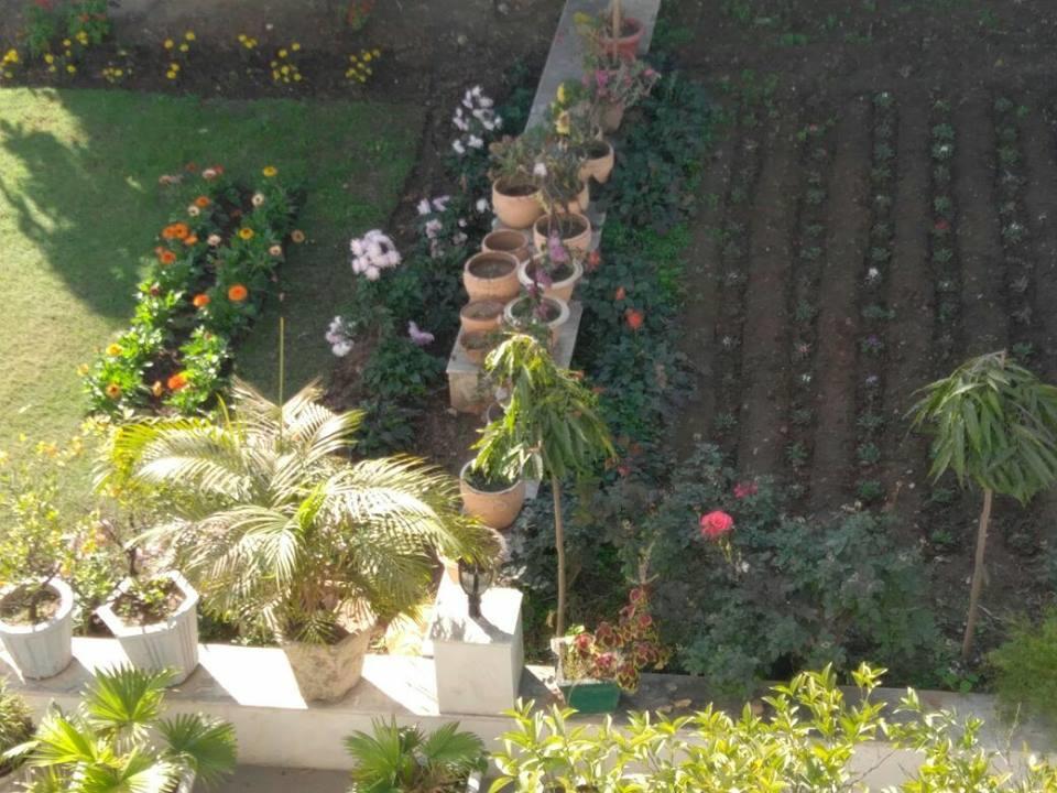 Heritage Homestay Jammu Eksteriør bilde