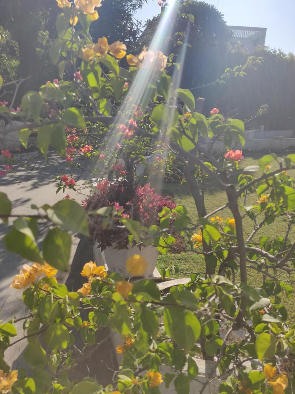 Heritage Homestay Jammu Eksteriør bilde