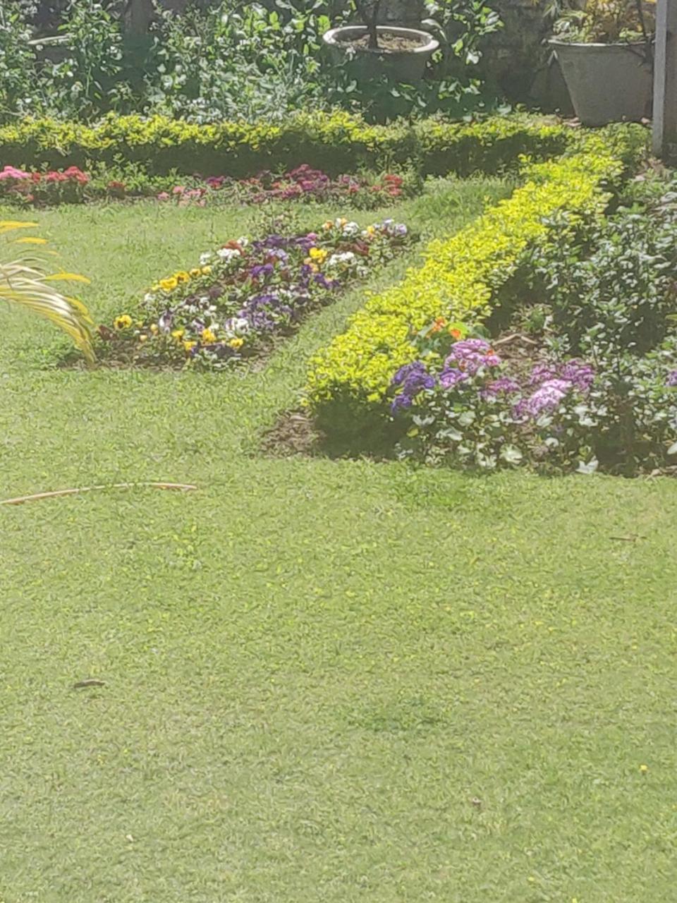 Heritage Homestay Jammu Eksteriør bilde