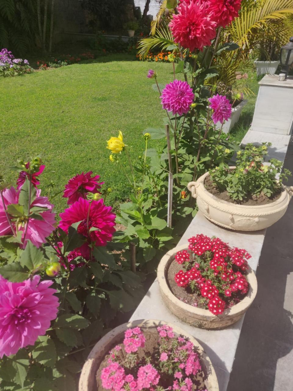 Heritage Homestay Jammu Eksteriør bilde